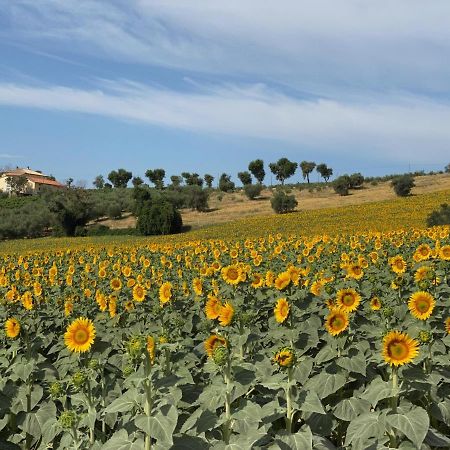 شقة Girasole San Marcello  المظهر الخارجي الصورة