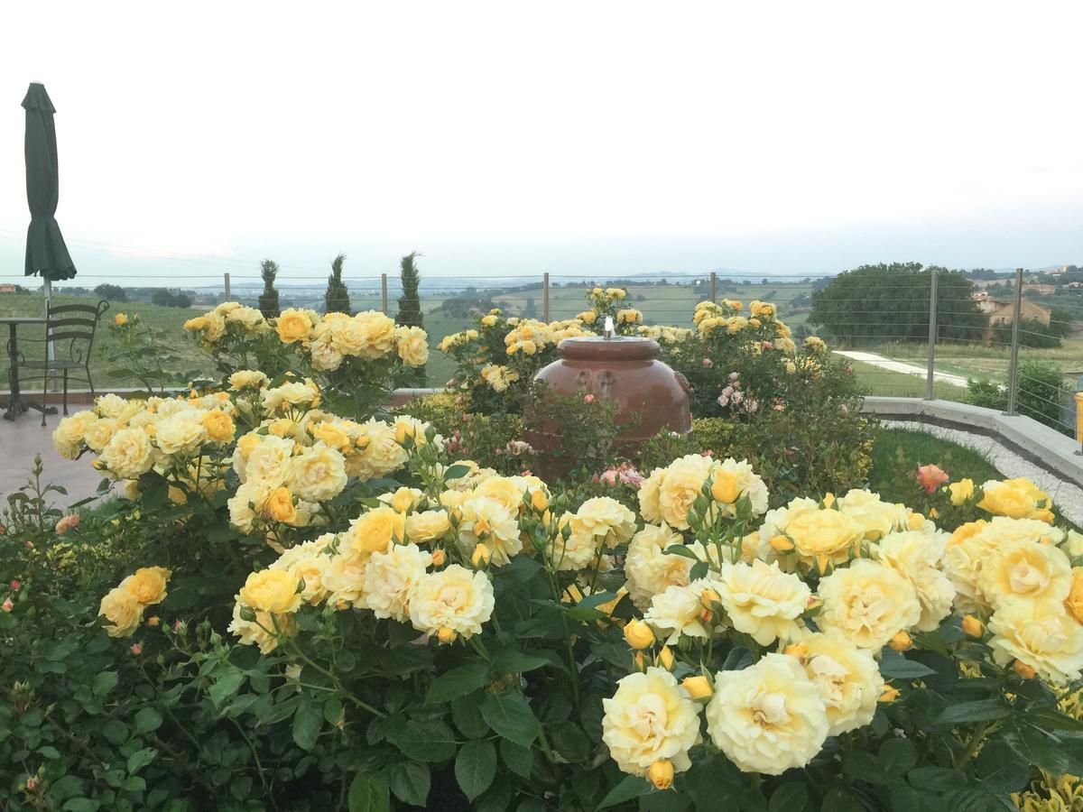 شقة Girasole San Marcello  المظهر الخارجي الصورة